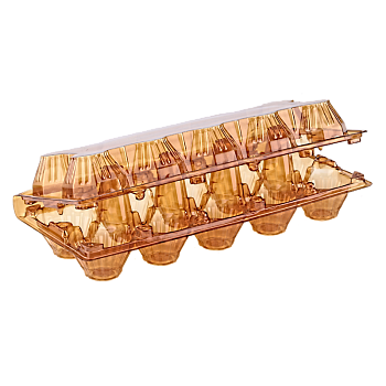 Упаковка для куриных яиц 10 ячеек XXL