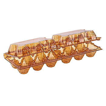 Упаковка для куриных яиц 12 ячеек (6х2)
